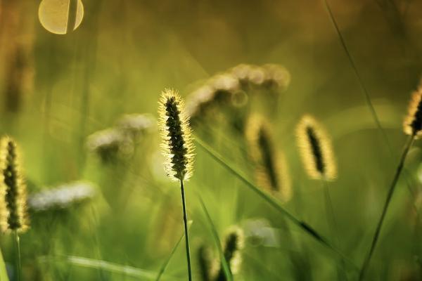 第三方退保平臺(tái)是真的嗎？有沒有風(fēng)險(xiǎn)？