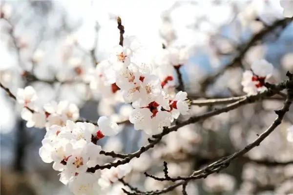 全家百萬醫(yī)療保險是什么意思？是哪家的？