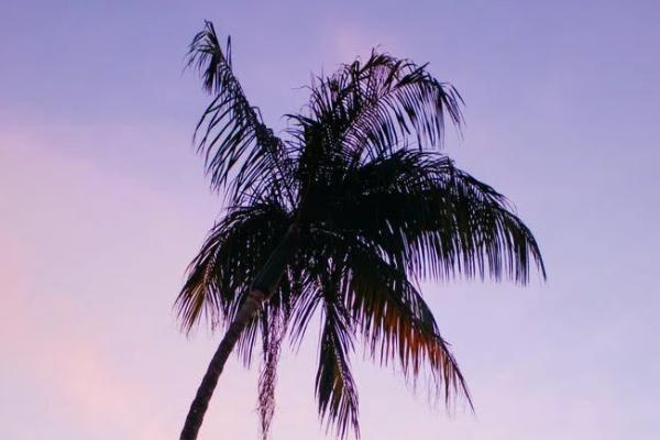 百萬醫(yī)療保險(xiǎn)怎么報(bào)銷？報(bào)銷比例是多少？