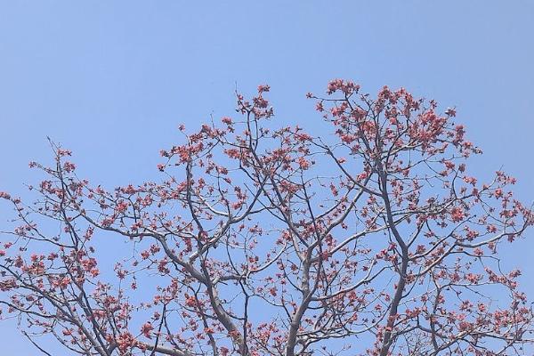大地百萬醫(yī)療怎么樣？有必要買嗎？