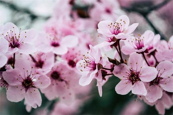 平安百萬醫(yī)療生效時間是多久？生效后可以報銷嗎？