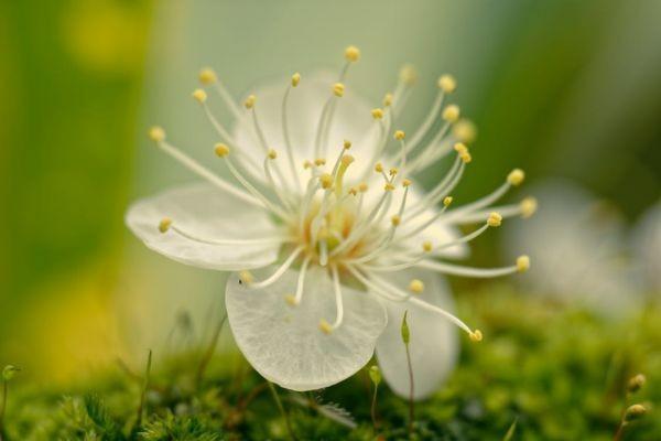 肝移植百萬醫(yī)療賠嘛？可以賠付多少錢？