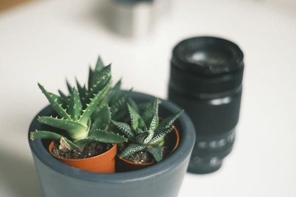 垂體瘤百萬醫(yī)療可以報銷嗎？報銷范圍是多大？