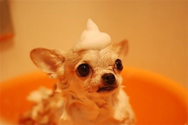 小醫(yī)療和百萬醫(yī)療的區(qū)別是什么？有必要買嗎？