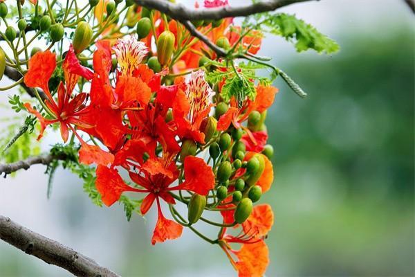 鑫祥17保險(xiǎn)買20年交劃不劃算？優(yōu)缺點(diǎn)是什么？