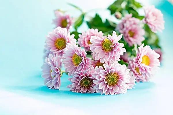 長城金禧利年金保險(xiǎn)b款怎么樣可靠嗎？交多少年回本？