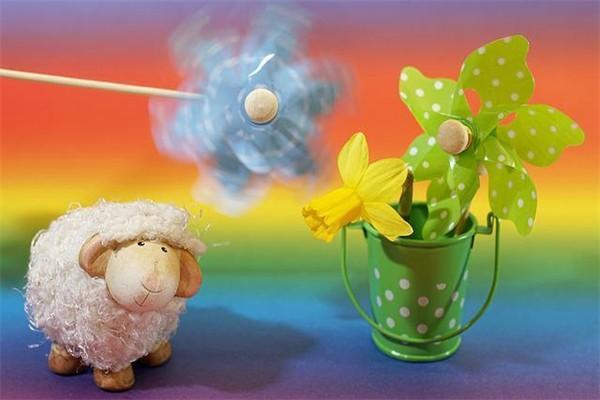 生存年金是指什么的保險(xiǎn)？與確定年金的區(qū)別是什么？