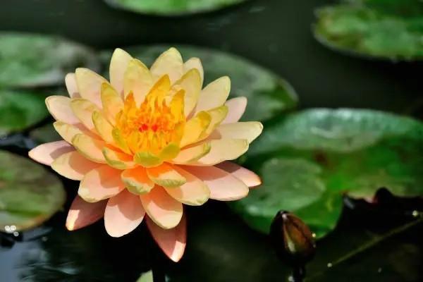 好醫(yī)保和百萬醫(yī)療險哪個好？可以一起買嗎？