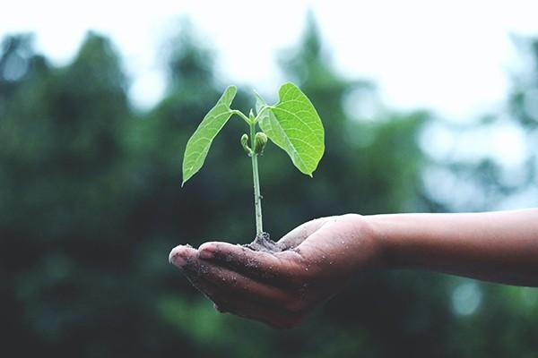 買了意外險骨折了怎樣賠償？賠償款多久到賬？