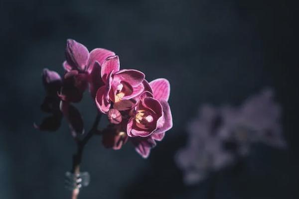 安邦盈泰5號(hào)年金保險(xiǎn)靠譜嗎？在哪里可以買？