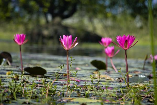 平安蔚來星少兒年金保險有套路嗎？有必要買嗎？