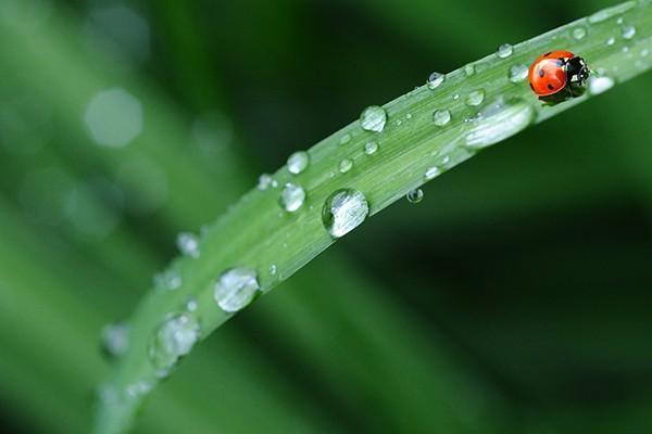 水滴健康保重疾醫(yī)療險(xiǎn)有用嗎？含意外醫(yī)療嗎？