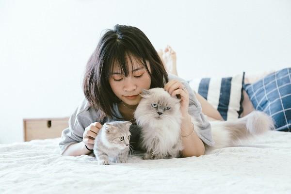 重疾險(xiǎn)轉(zhuǎn)換年金是什么意思？怎么計(jì)算？