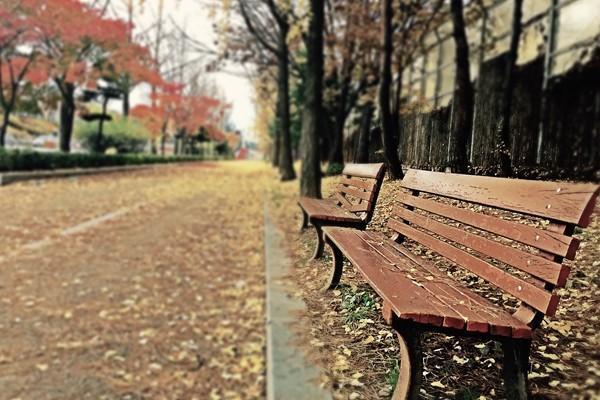 太平洋意外險查詢?nèi)绾尾樵儽?？怎么買？