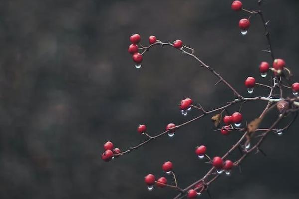 泰康年金險(xiǎn)有必要買(mǎi)嗎？購(gòu)買(mǎi)時(shí)要注意什么？