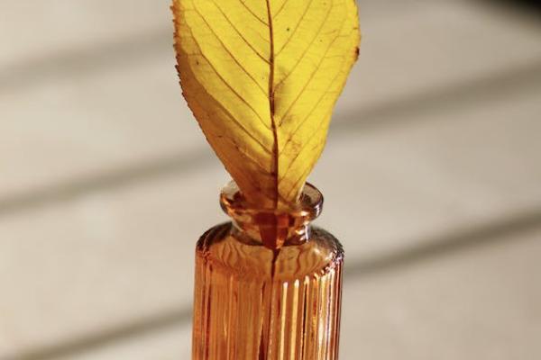 恒安標(biāo)準(zhǔn)金福瑞兩全保險(xiǎn)(分紅型)投保規(guī)則如何？保什么？