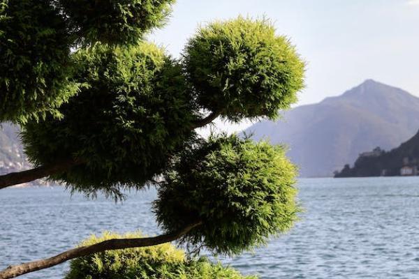 光大永明光明一生養(yǎng)老年金保險投保規(guī)則如何？有哪些優(yōu)勢？