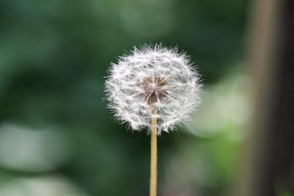 太平福佑金生靠譜嗎？值得買嗎？