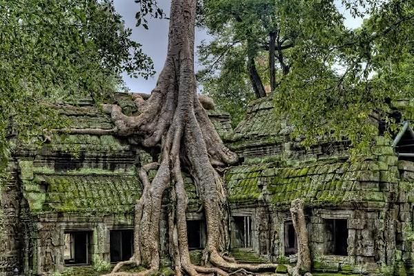 國壽鑫享金生年金保險a款三年交收益如何？保障是什么？
