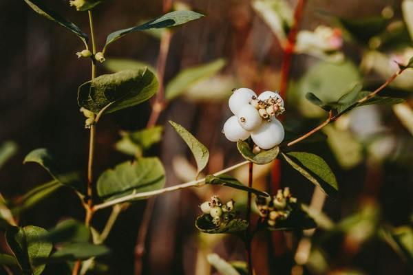 補牙百萬醫(yī)療可以報銷嗎？報銷范圍是什么？