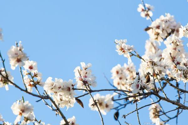 海保福佑金生年金險(xiǎn)有什么投保規(guī)則？可以領(lǐng)取的錢(qián)有哪些？