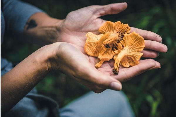 百萬醫(yī)療險如果意外身亡會理賠嗎？保障范圍有哪些？