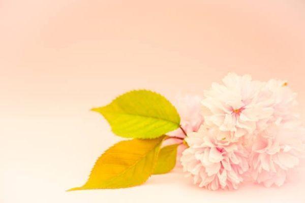 國(guó)聯(lián)盛世金生保險(xiǎn)怎樣？投保規(guī)則有哪些？