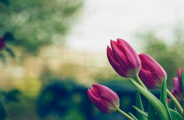 信泰如意享可以追加保費(fèi)么？有什么優(yōu)點(diǎn)？