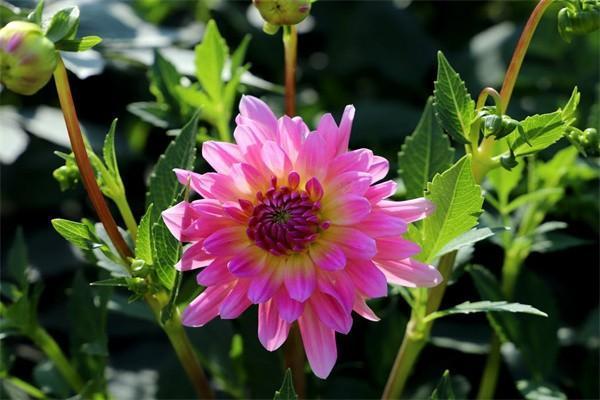 公務員買增額終身壽險需要申報嗎？有什么好處？