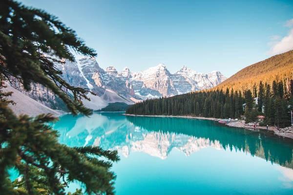 太平洋百萬醫(yī)療險保單怎么查詢？查詢要注意什么？