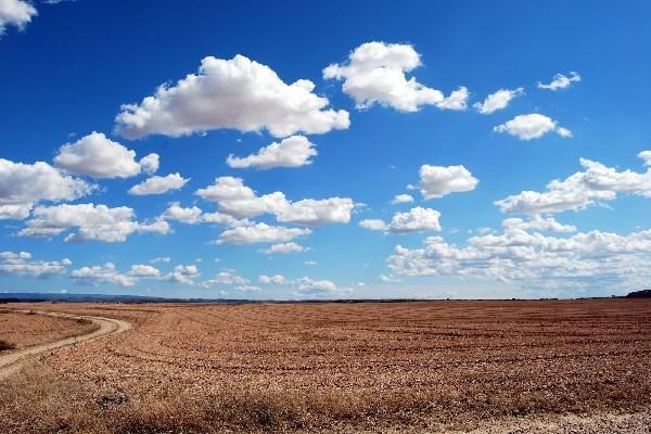 意外險十級傷殘鑒定標準是什么？傷殘的賠付比例是多少？