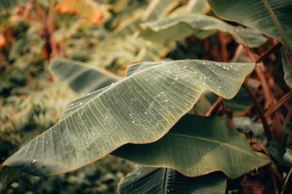 意外險骨折賠償標(biāo)準(zhǔn)一覽表是什么？賠償要注意什么？