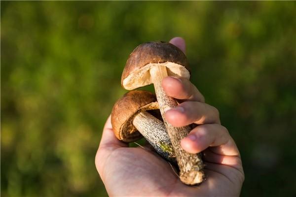 座位險和意外險有什么區(qū)別？座位險是必須要買的嗎？