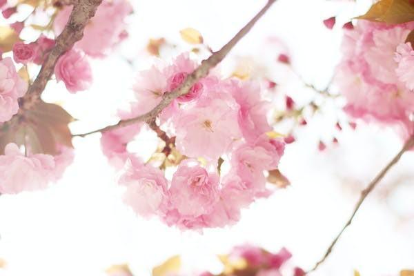信泰千萬傳承2023終身壽險有哪些投保規(guī)則？有什么特色？