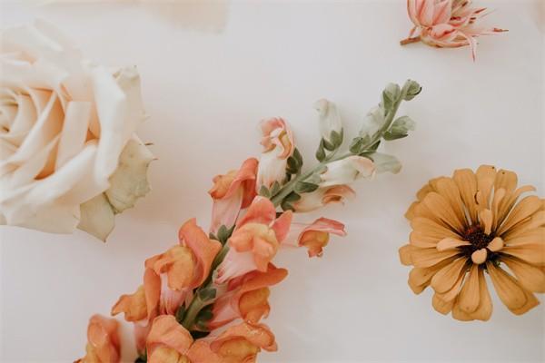 百萬醫(yī)療賠付過還能再買嘛？如何續(xù)保？