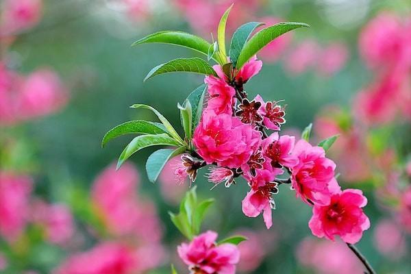 學(xué)生保險怎么查詢是哪個公司的？有一些什么好處？