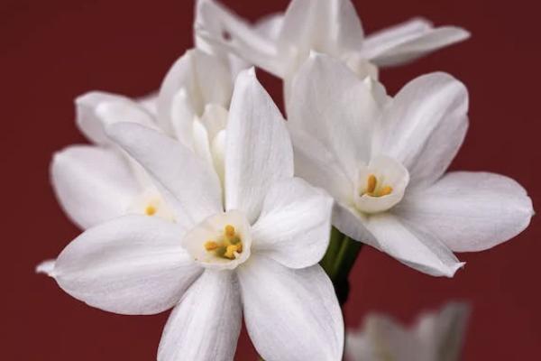 增多多3號增額終身壽險下架了嗎？有什么優(yōu)點？