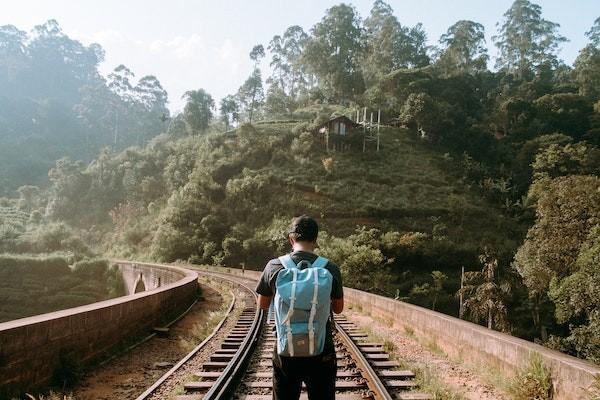100元的意外險狗咬傷能報銷嗎？能報銷多少錢？