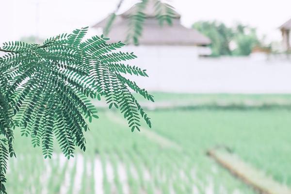 愛無憂是什么保險(xiǎn)？保什么？