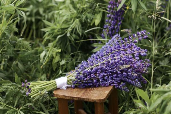 長城金麒麟終身壽險萬能型結(jié)算利率是多少？有哪些優(yōu)勢？