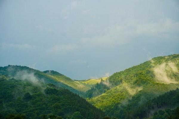 出了意外后再買(mǎi)保險(xiǎn)可以報(bào)銷(xiāo)嗎？怎么報(bào)銷(xiāo)？