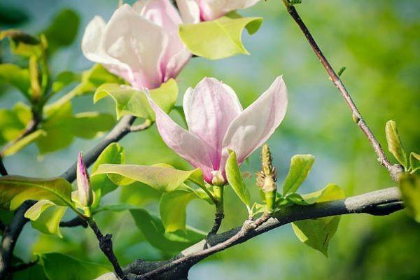 重疾保險是不是坑？有哪些產(chǎn)品值得買？