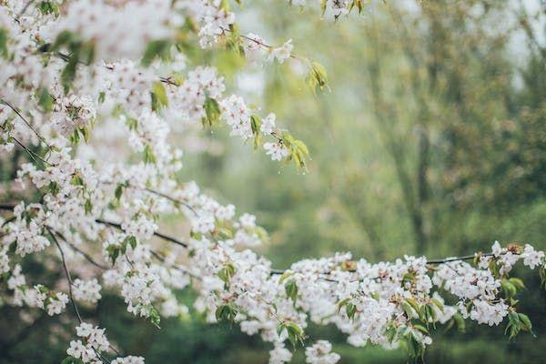 達(dá)爾文7號重疾險(xiǎn)怎么買？有哪些保障責(zé)任？