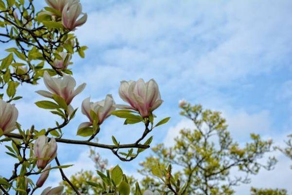 光武7號有哪些投保規(guī)則？保費(fèi)需要多少？