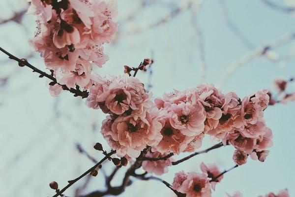摔傷后再買(mǎi)意外險(xiǎn)會(huì)賠嗎？怎么報(bào)銷(xiāo)？