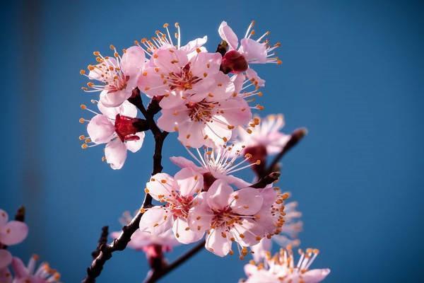 意外險(xiǎn)報(bào)銷需要病歷嗎？報(bào)銷能報(bào)銷多少錢？