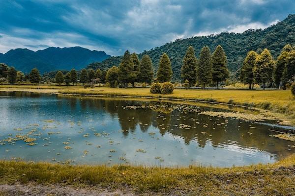 重疾險(xiǎn)icu報(bào)銷嗎?報(bào)銷比例是多少？