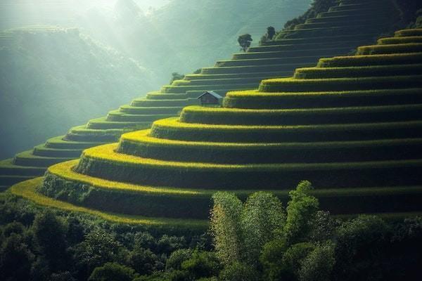 意外保險復(fù)查費(fèi)用可以報銷嗎？可以報銷多少錢？