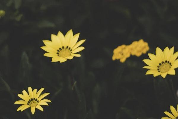 和泰超級(jí)瑪麗7號(hào)有哪些優(yōu)勢(shì)？怎么買(mǎi)？