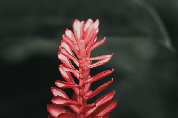 樂享無憂保險怎么樣？保什么？